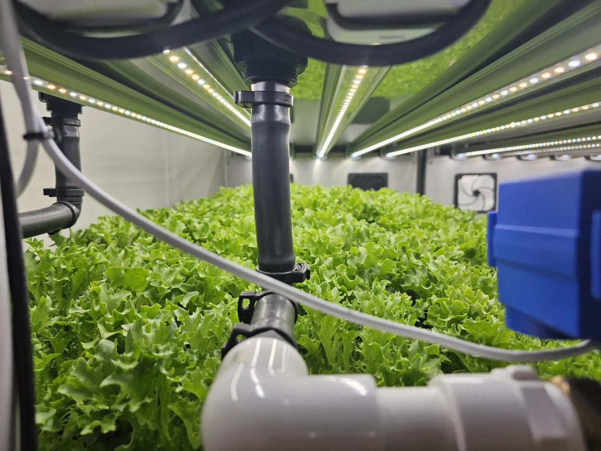 Grow Chamber - Gallipoli Barracks