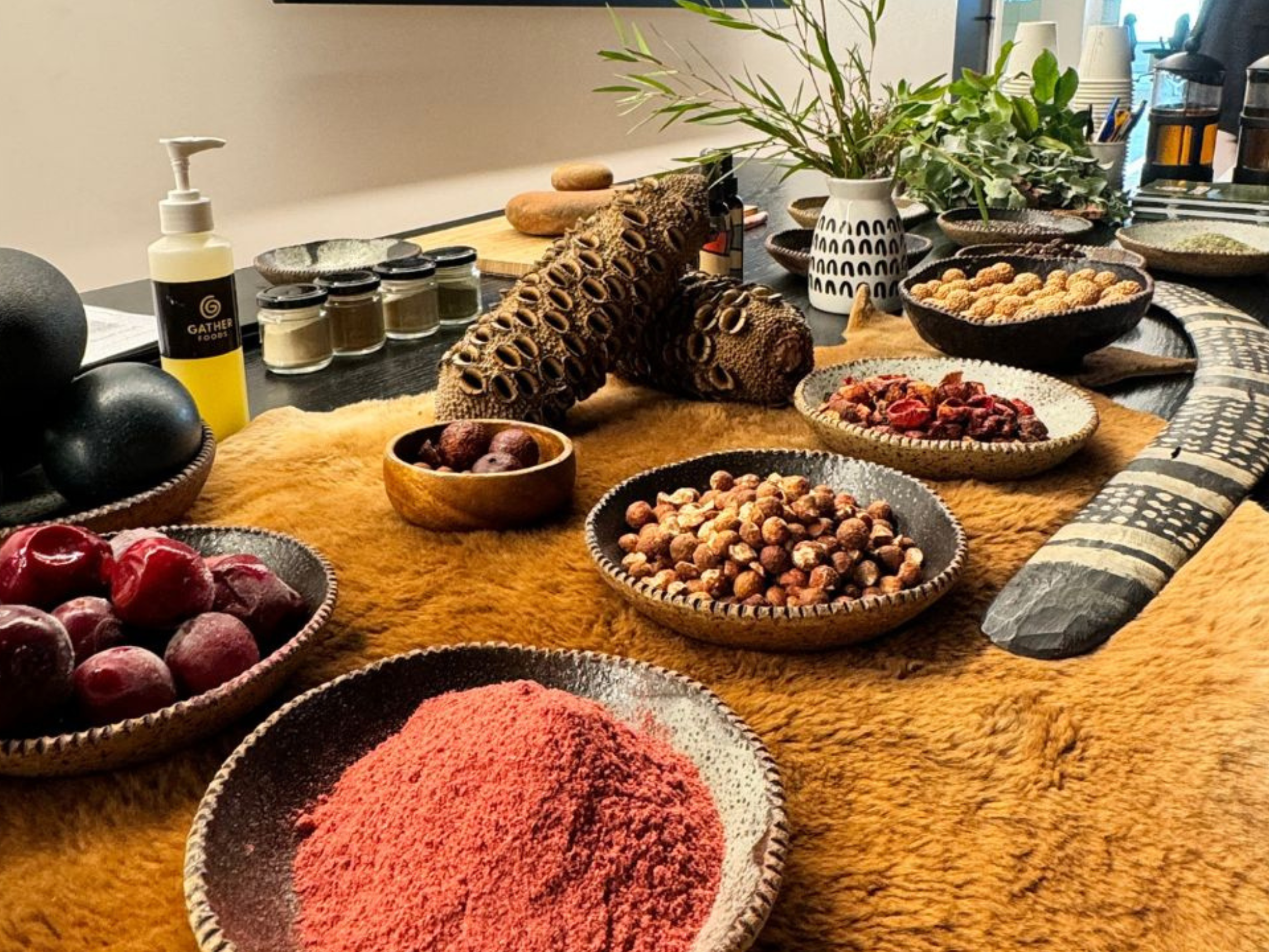 Table with a range of Indigenous Australian ingredients