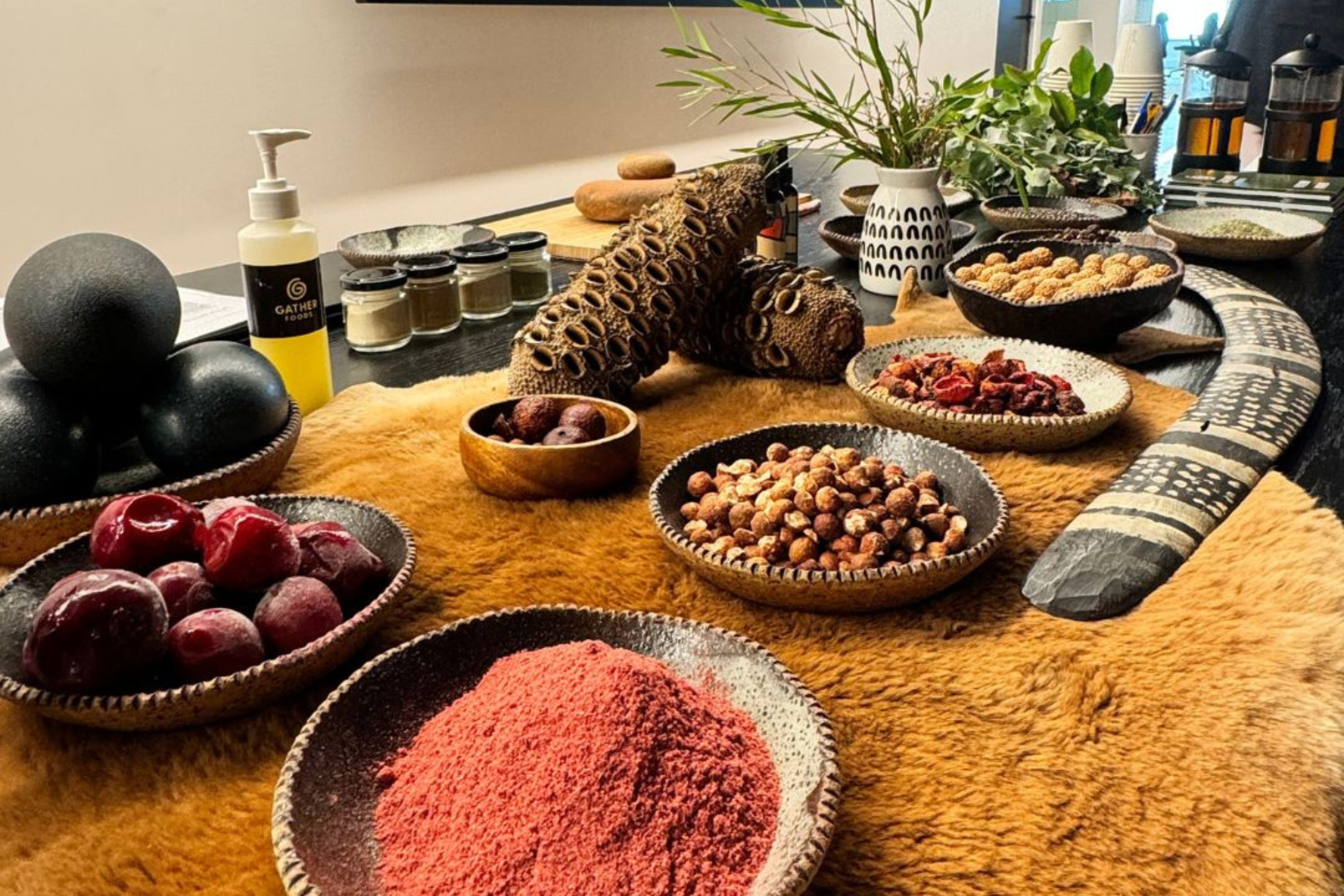 Table with a range of Indigenous Australian ingredients