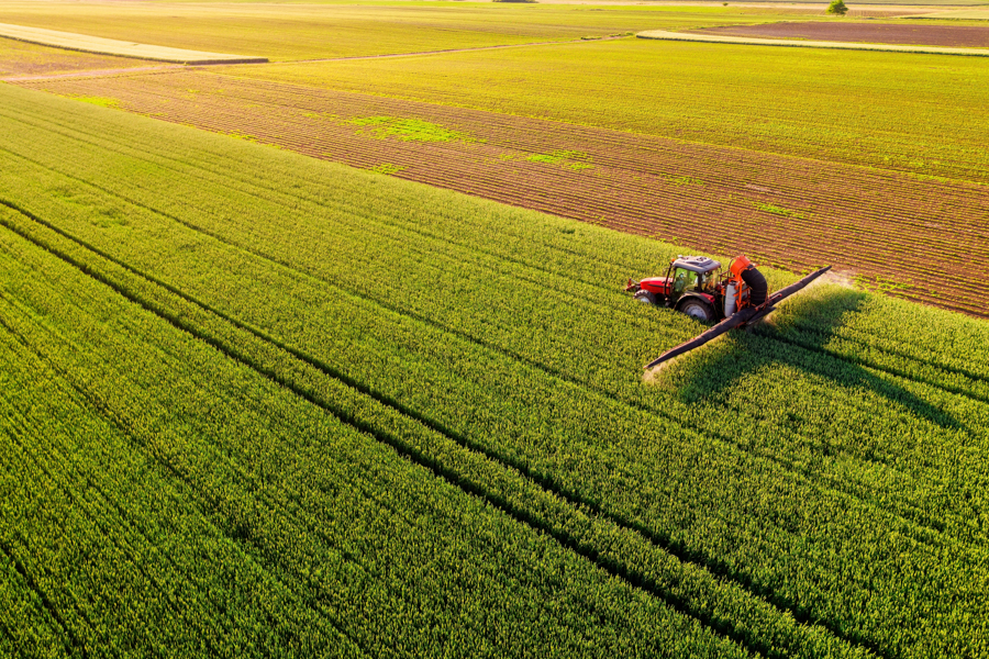 Aerial view of a farmer driving a tractor on a rural path between vibrant wheat green crops